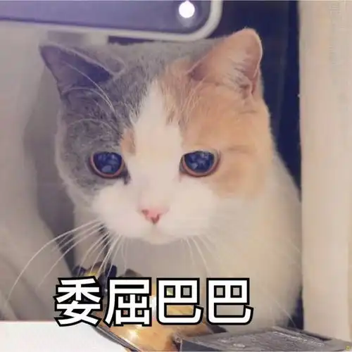 羽绒服失宠了羊羔毛5件下装正流行