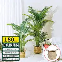 哪里买鲜花绿植便宜,性价比高的鲜花绿植推荐