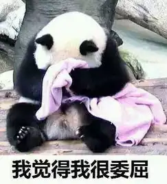 大排场大熊猫星雅武雯到达荷兰,荷兰人民疯了