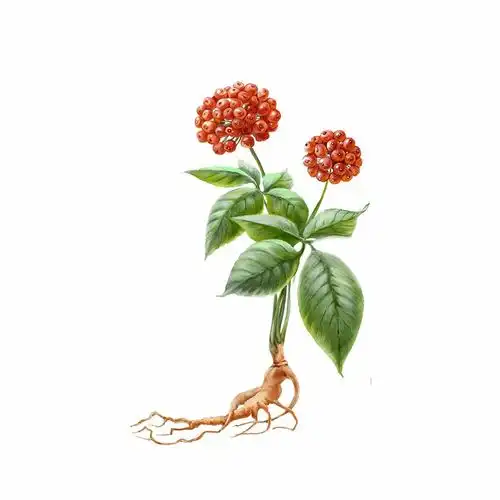 助推中医药传承创新高质量发展,吉林非遗这样做