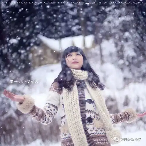 生命因为有你才如此美丽