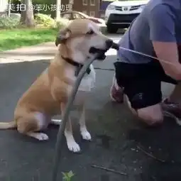 势力帮的美拍