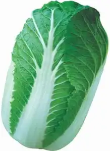 谁知道这个情侣头像的那一半