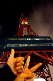 北海道东京以冬之名至此向北,日本自助游攻略
