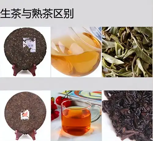 普洱茶干茶色泽特点普洱熟茶干茶色泽不均匀