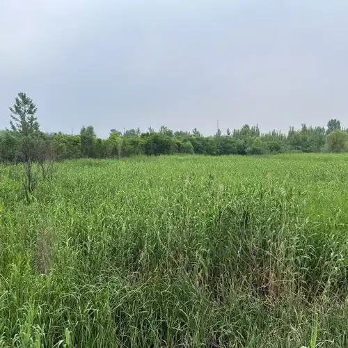 龙子湖风景区门票,龙子湖风景区游玩攻略360地图