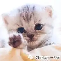 2019年货大集抖音快手最火真人鬼城惊悚之夜落户鞍山