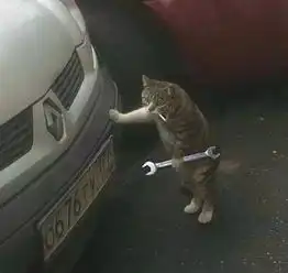 当一猫一狗陪家里的娃看小猪佩奇,到底谁看懂了