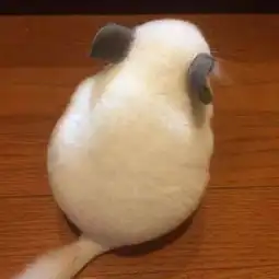 萌萌哒龙猫来了