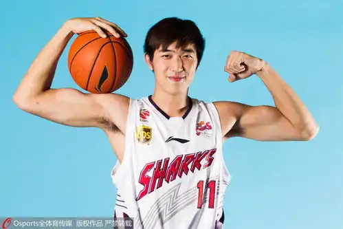 上海冠希哥遭篮协禁赛全队涂鸦球鞋抗议