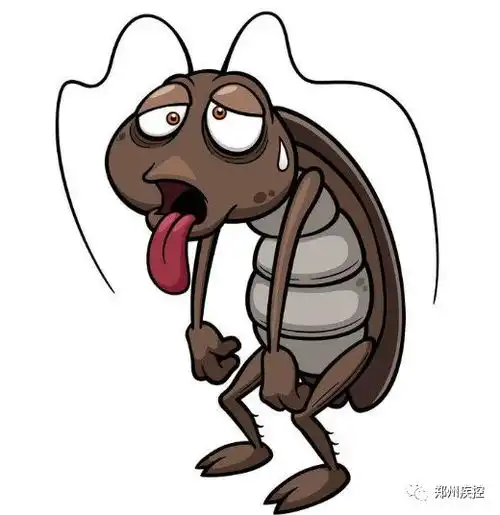 又爱又恨话小强
