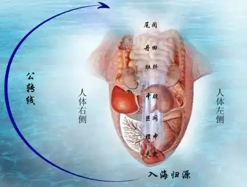 人体自带体检表舌头一旦出现这个信号,你应该立刻重视起来