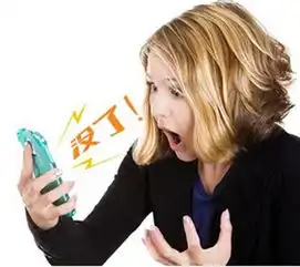 北京华盛昌百旺