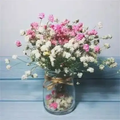 让人看了就好心情的头像,好看唯美花朵2020给大家带来好心情吧
