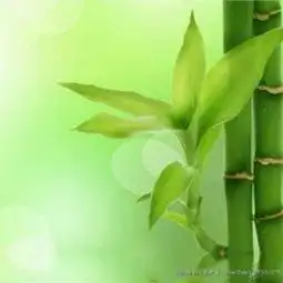 失眠音乐台我好想你,却不敢打给你