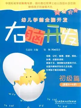初级篇右脑开发幼儿学前全脑开发适合34岁
