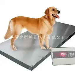 非标定做宠物秤