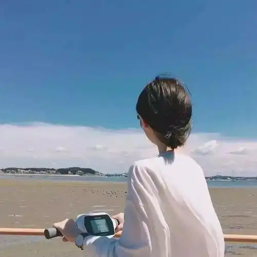 测试一个超长简介的文章