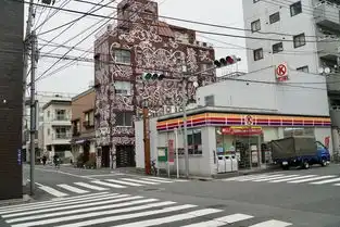 又见霓虹1月偶遇樱花乌鸦满天的东京不太热的热海充满遗憾的名古屋