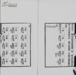家谱平阳汪氏九十一世支谱诚公字孔皆号十村行三二卷二本16开135页1867年版原件模糊不清晰电d