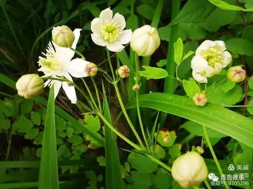 秋天,惜福小山掠影