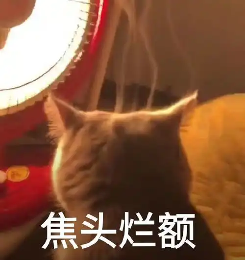 第五人格注意公频上这些字眼,如果增多,求生者赶紧停止排位