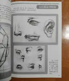 基础美术技法丛书中级班素描头像