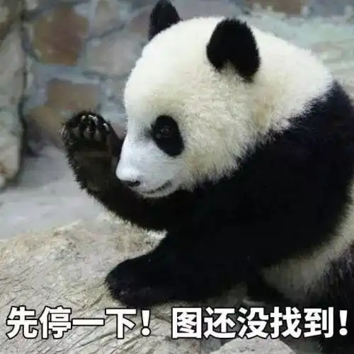 一路睡上位的假纯真贱的大花