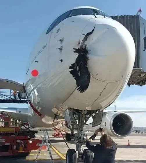 突发秃鹰撞雷达罩737滑行着火747货机机尾触地