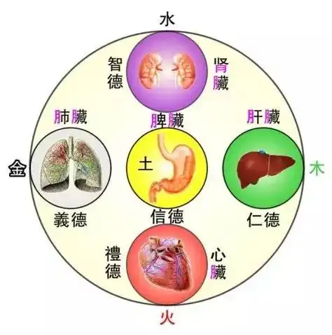 养生不懂中医五行,你用什么化妆品都没用