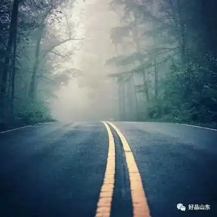 抬头看天是一种方向,低头看路是一种清醒