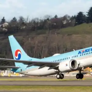 大韩航空一飞机因增压系统问题返航多人耳膜疼痛被送医