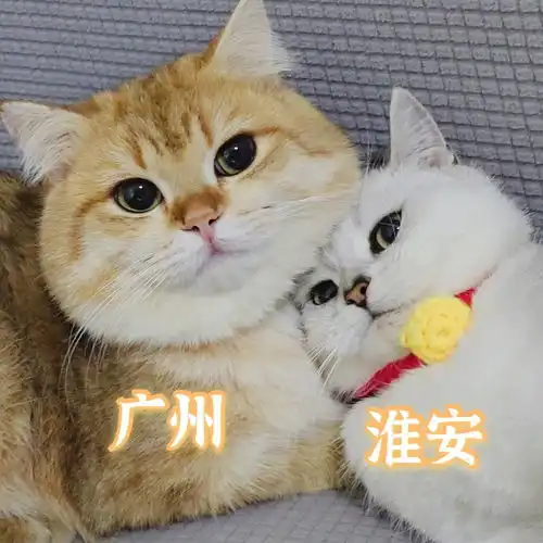 广州和淮安的表情包