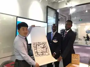 chineseceo产业篇祝贺中非投融资跨界研讨会圆满落幕117期