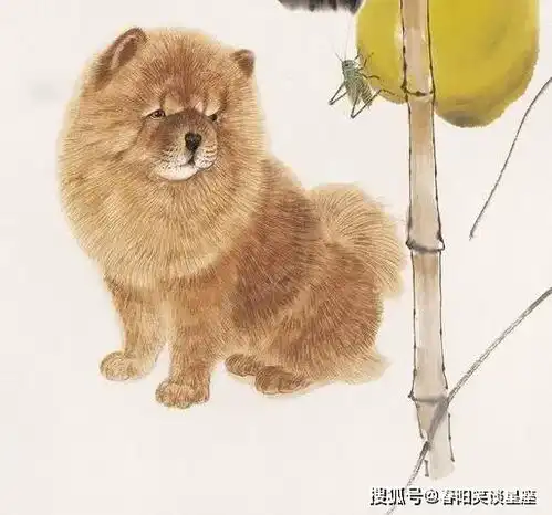 只要娶到此几个属相的媳妇,人生开始开挂