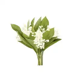 微信唯美小清新鲜花头像2018