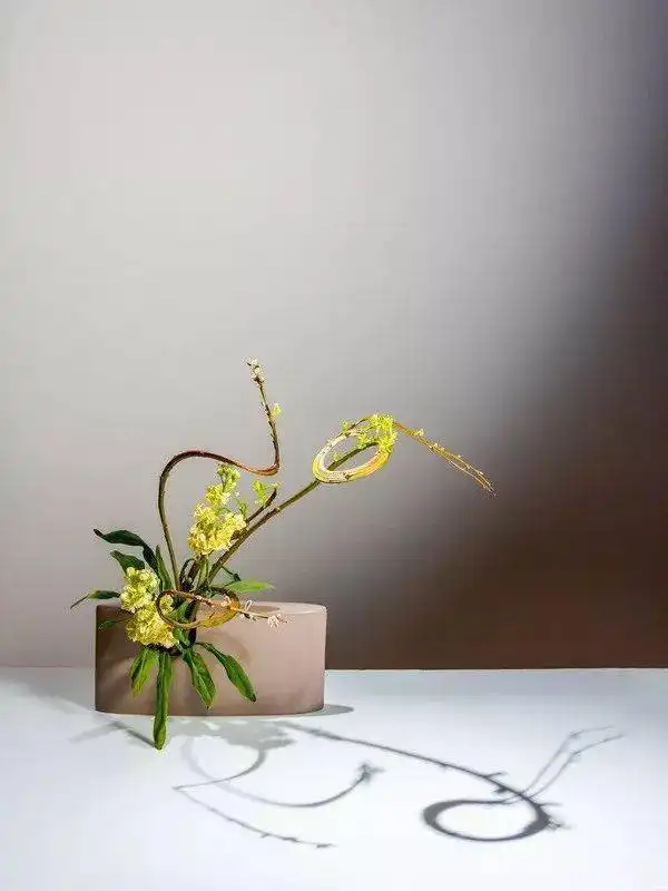 插花之美星标文章紫砂