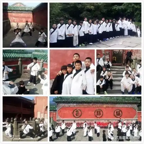 武当道家功夫馆2017年度玄岳归真夏令营回顾小小少年毕业啦
