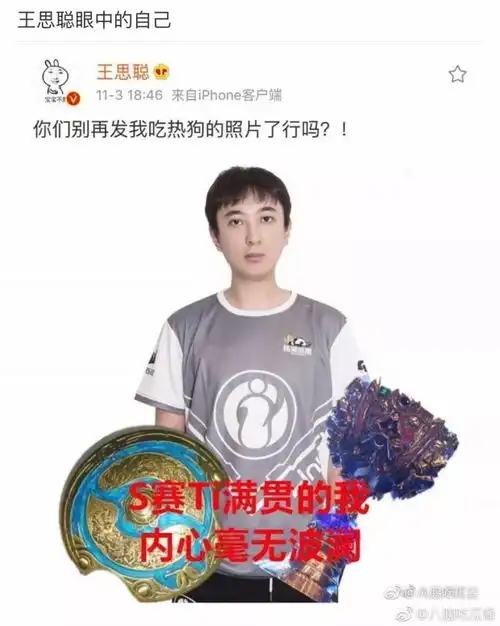 你们朋友圈也被王思聪和他的ig刷屏了吗