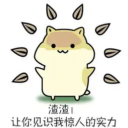图片的动物叫虾米