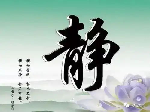 静写的真美