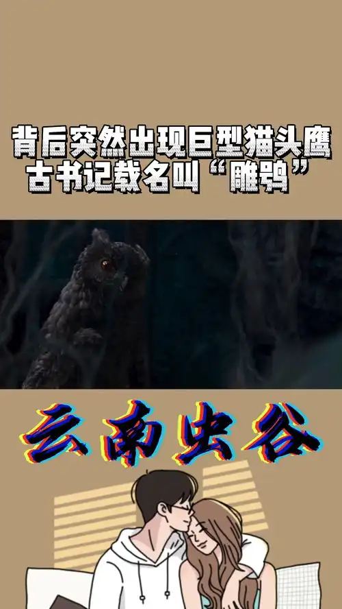 背后突然出现巨型猫头鹰,古书记载名叫雕鸮云南虫谷