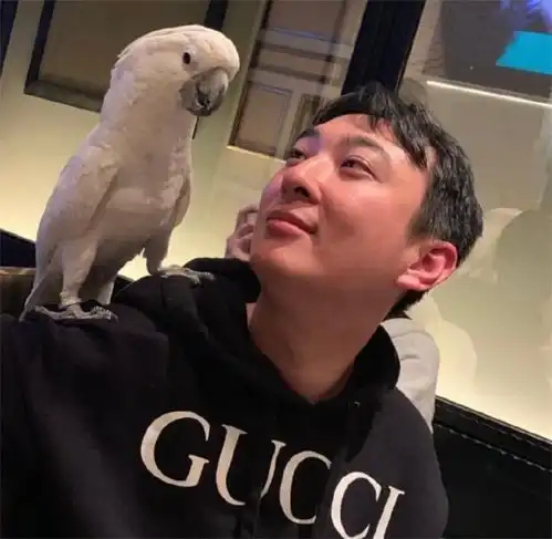 小团团真想加入ig身为吃鸡主播却进了lol战队,首场就要对战t1