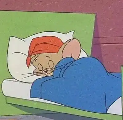 树袋宝宝教你如何在备孕期保持最佳状态