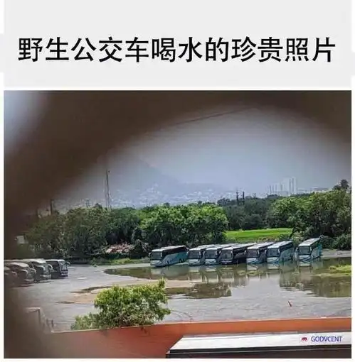 嫌疑人凌晨被抓吐槽民警太阴了,网友一脸懵能有你阴