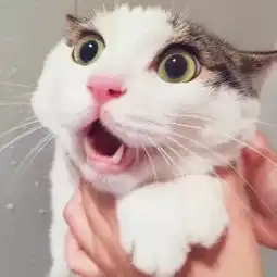 沿着不停发生的美好,一起去见见青山周平