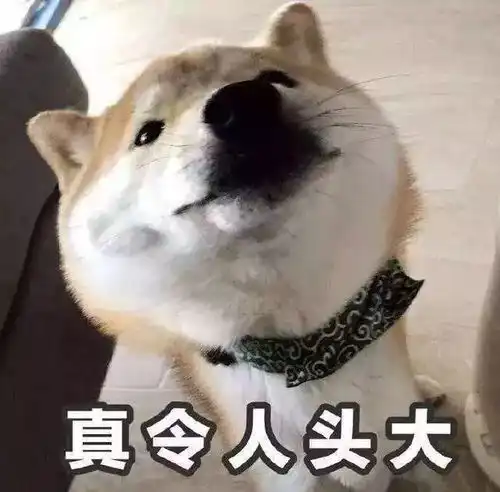 告别纸质车票坐火车,我们用这个...