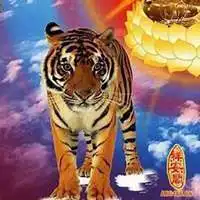 测试一个超长简介的文章