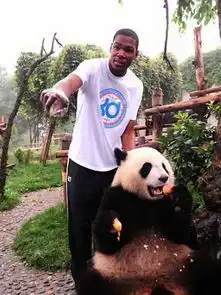 nba巨星与国宝熊猫卖萌照