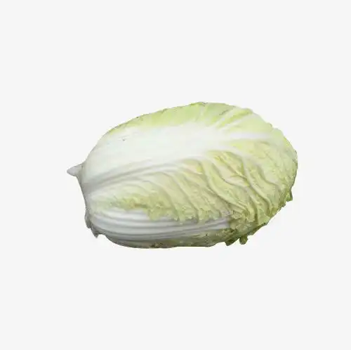新鲜大白菜免抠素材产品设计图片免费下载页面网页平面电商创意素材png素材素材